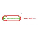 Cenedese